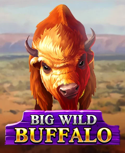 Play Big Wild Buffalo at Cobber Casino